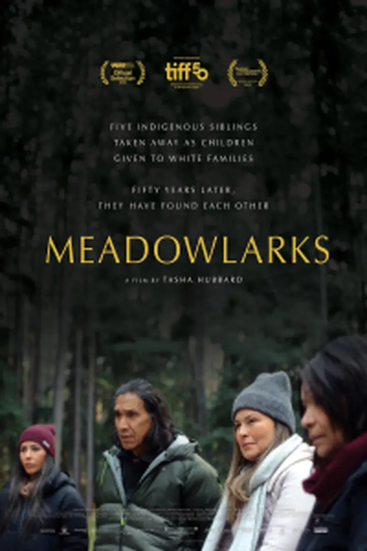 Nonton Film Meadowlarks (2025) Sub Indo Seeking Jane Austen