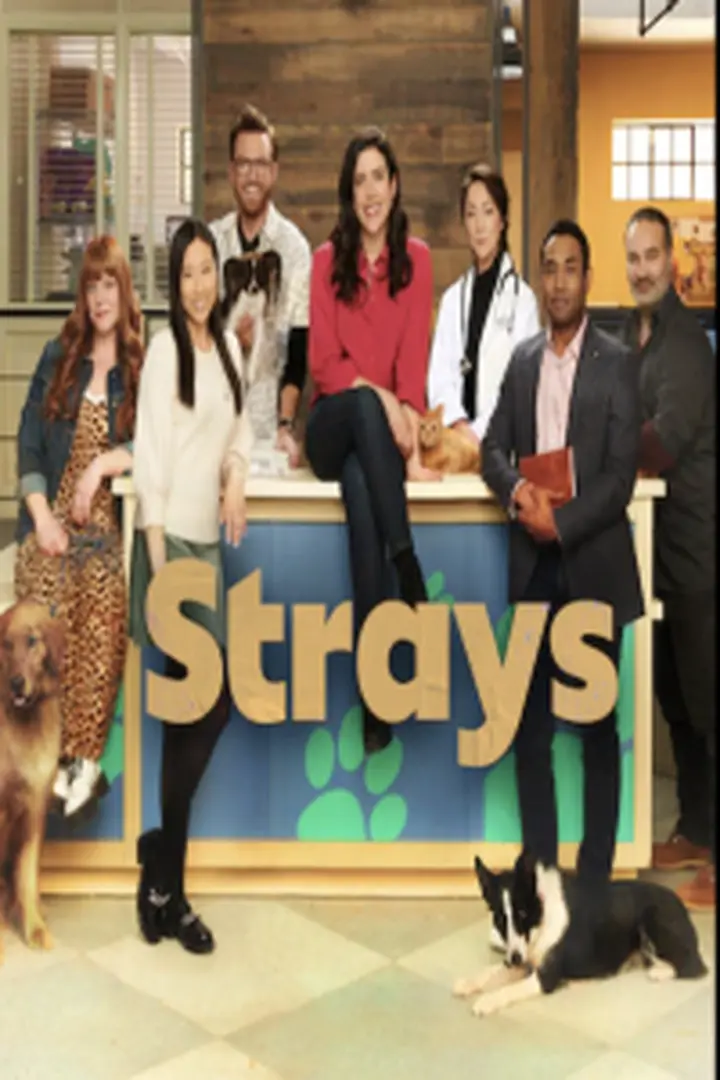 Nonton Strays 2021 Sub Indo